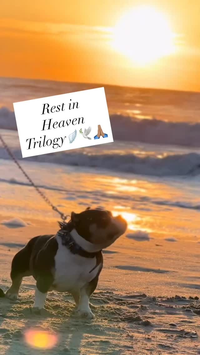 Post 6 by Oscar Alvarado on Instagram (video)