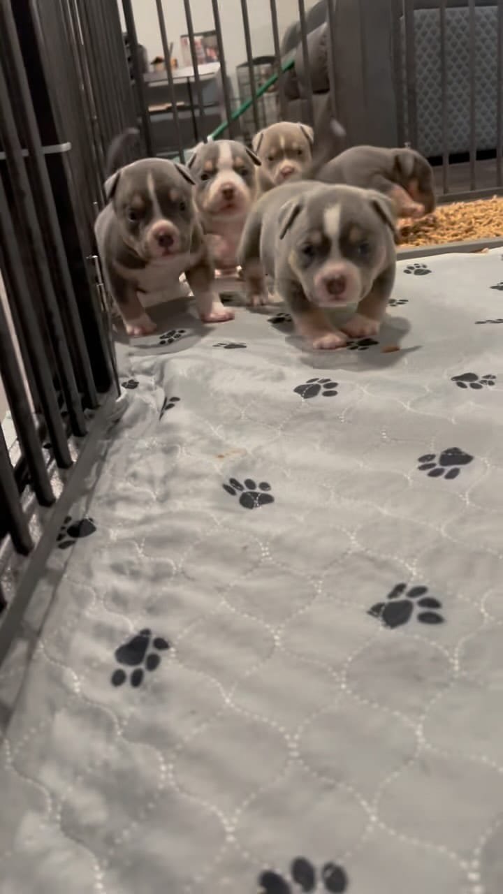 Post 7 by Oscar Alvarado on Instagram (video)