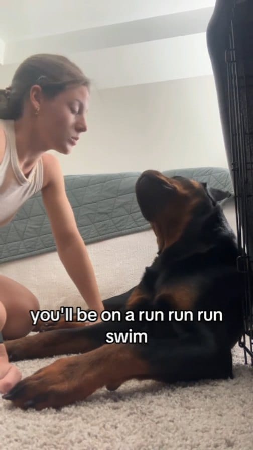 Post 10 by Norman The Rottie on Instagram (video)