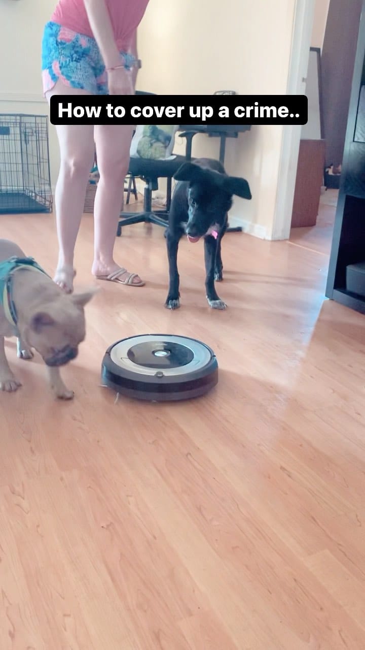 Post 8 by Franklyn on Instagram (video)