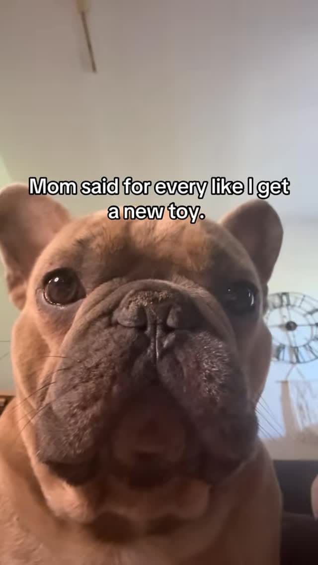 Post 5 by Franklyn on Instagram (video)