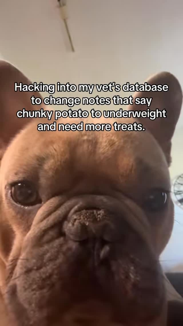 Post 4 by Franklyn on Instagram (video)
