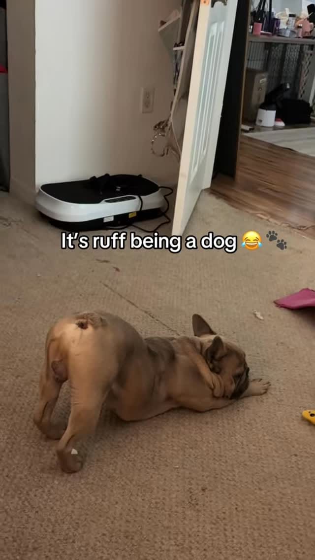 Post 2 by Franklyn on Instagram (video)