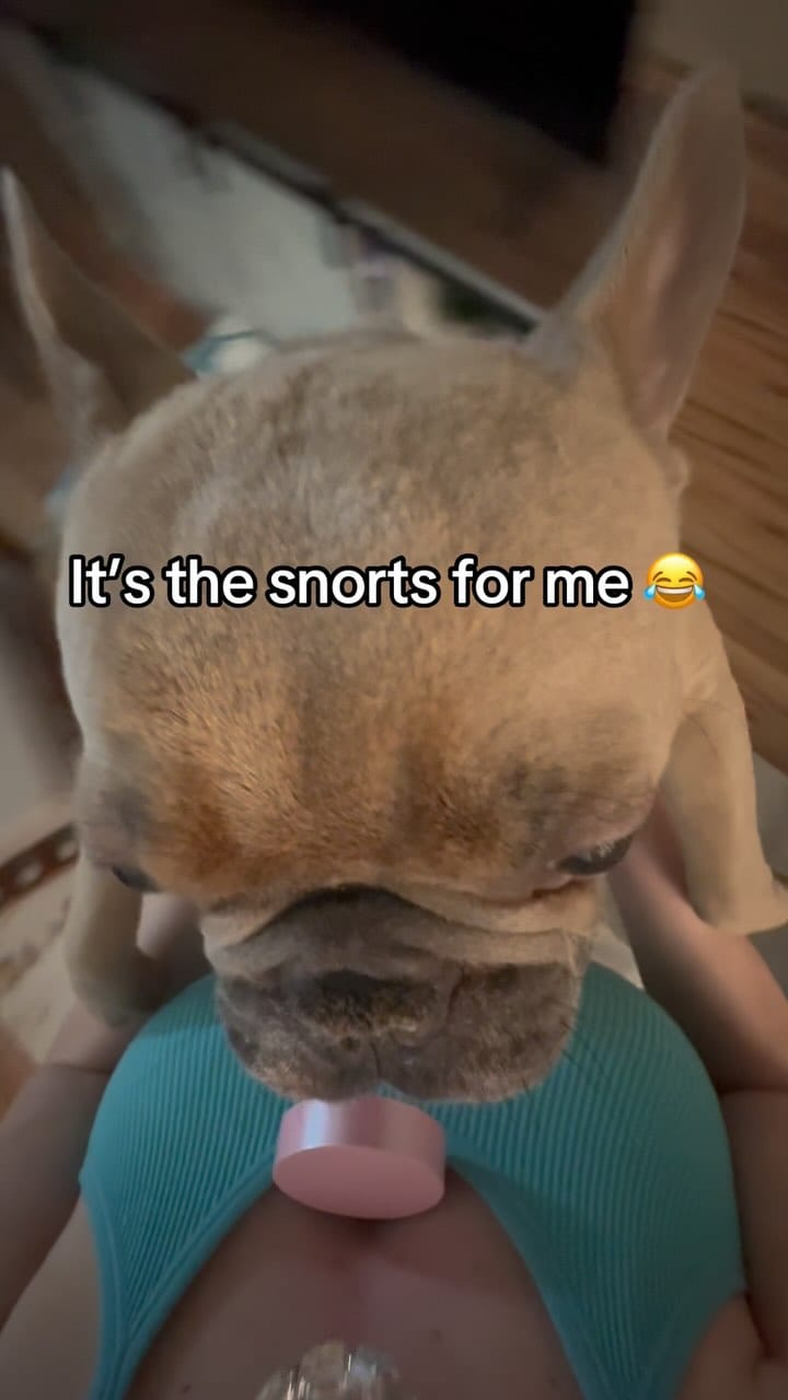 Post 3 by Franklyn on Instagram (video)