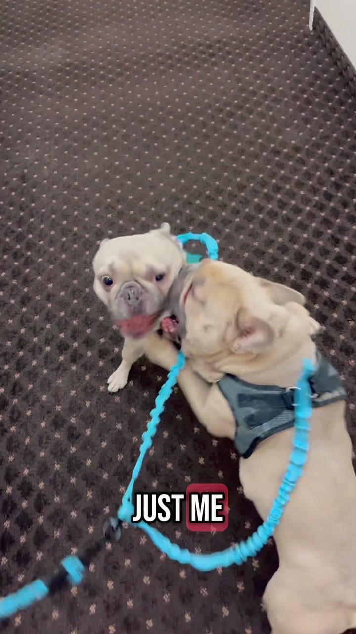 Post 7 by Franklyn on Instagram (video)