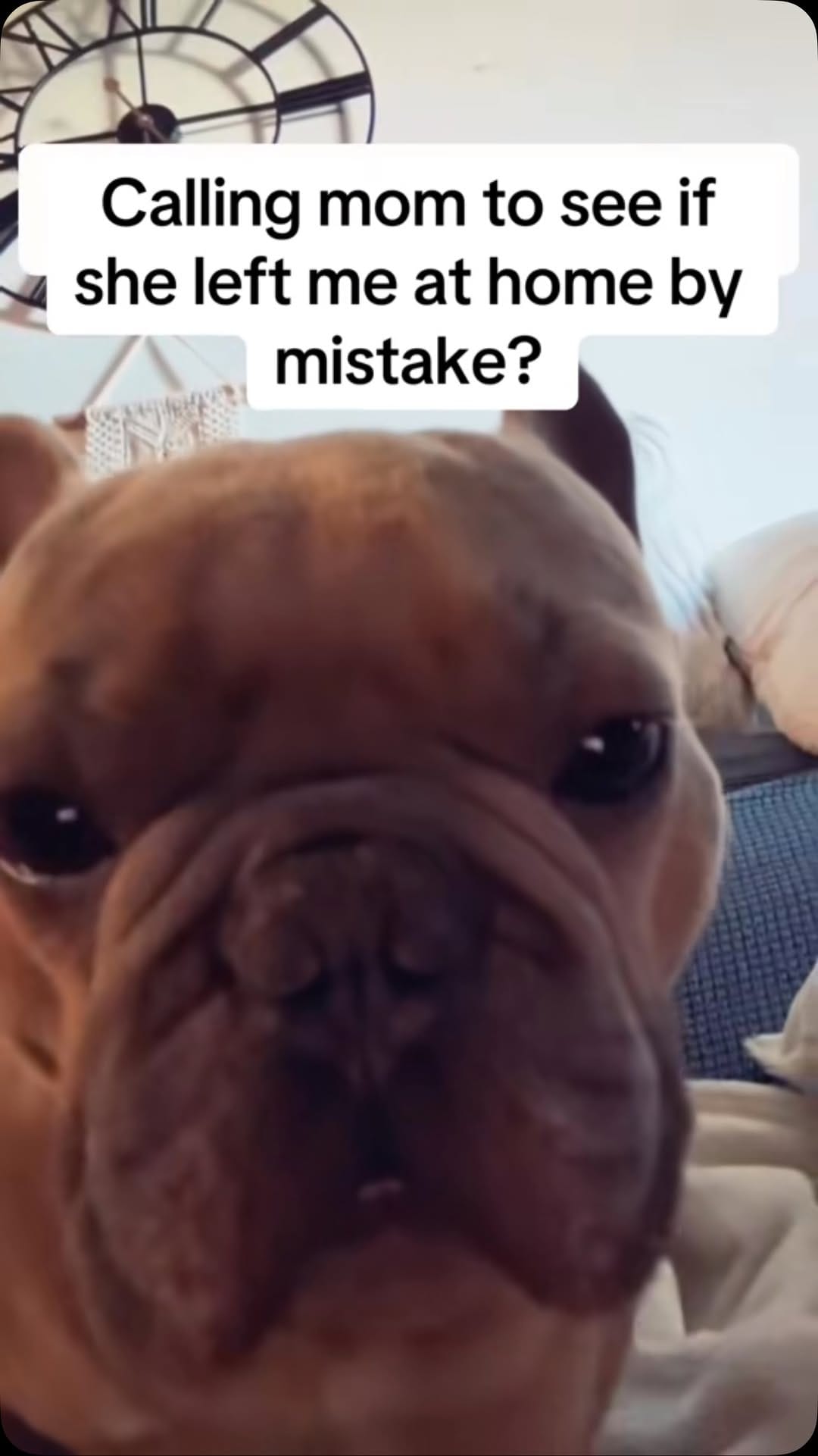 Post 6 by Franklyn on Instagram (video)