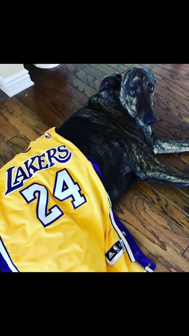 Post 8 by Jeffrey Holland on Instagram (video)