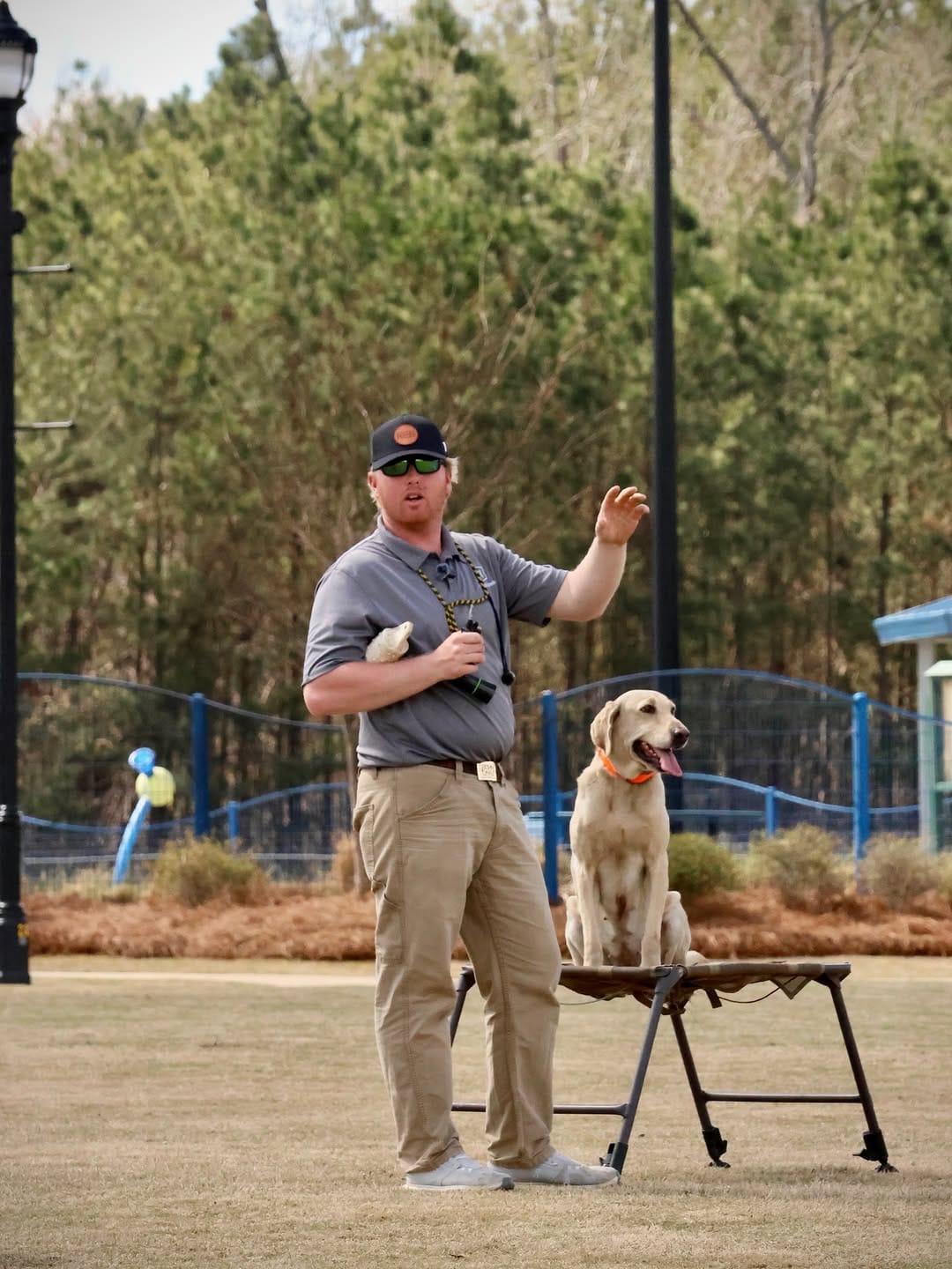 Post 4 by Kiokee Creek Kennels on Instagram (carousel)