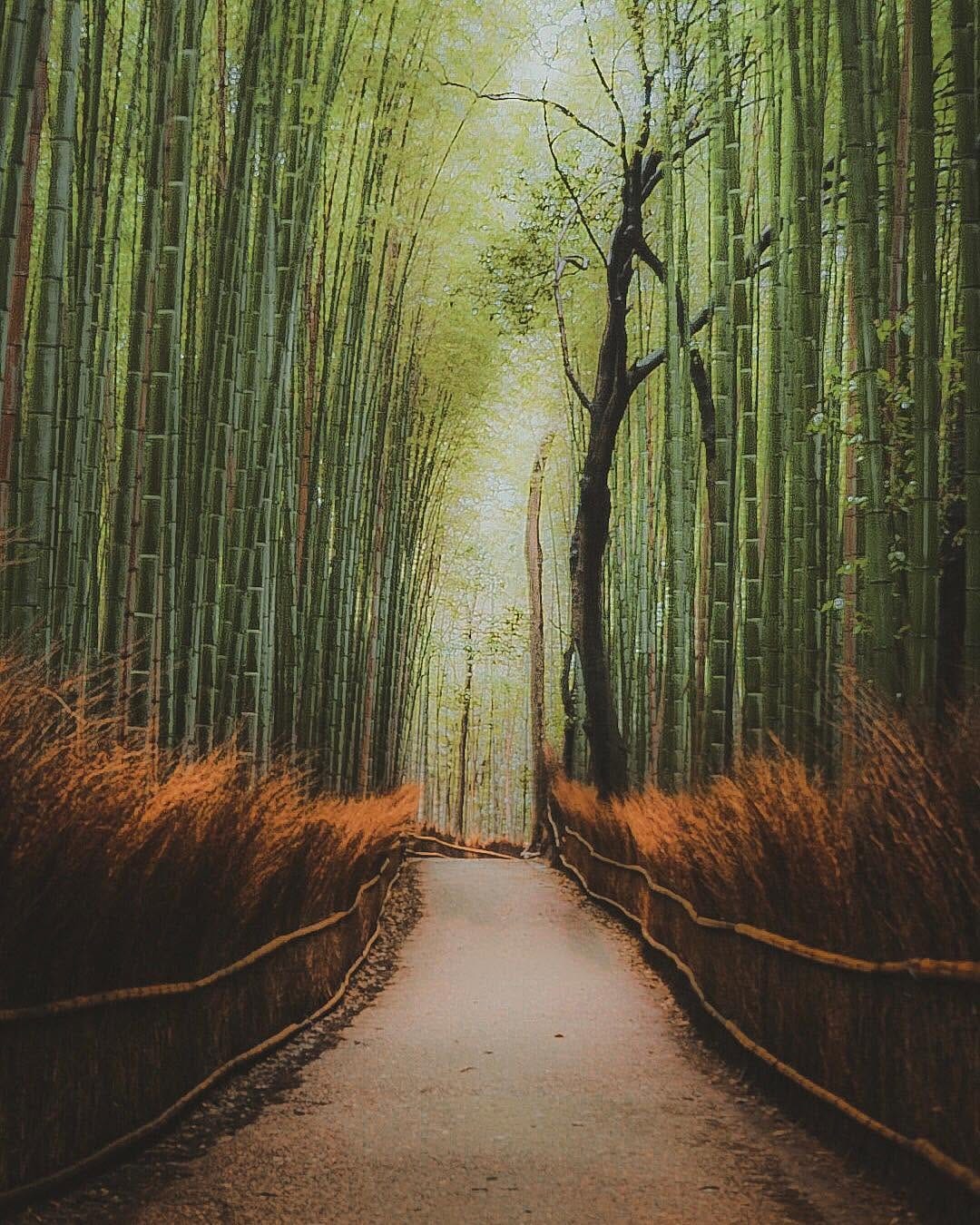 Post 9 by ⠀⠀⠀⠀⠀⠀⠀⠀⠀⠀⠀⠀⠀⠀Dylan Sanfilippo on Instagram (image)