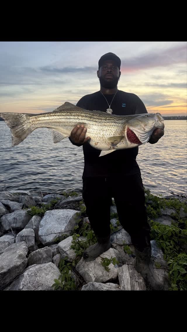 Post 5 by Ernest Robinson on Instagram (video)