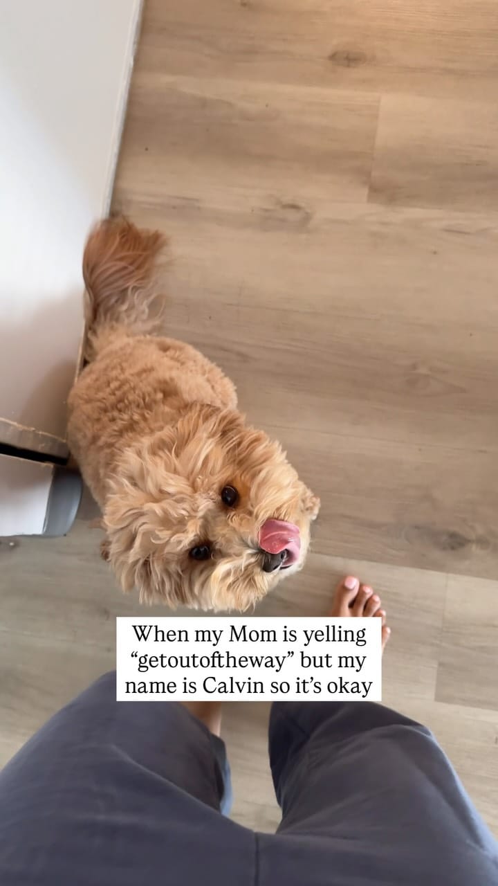 Post 1 by Shannon & Calvin on Instagram (video)