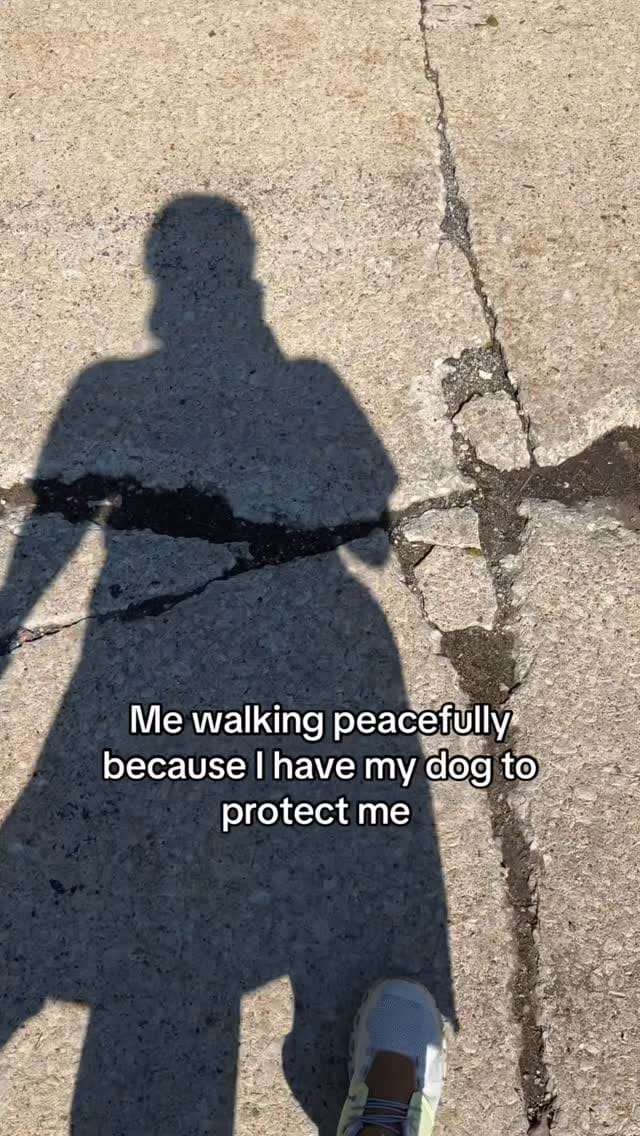 Post 2 by Shannon & Calvin on Instagram (video)