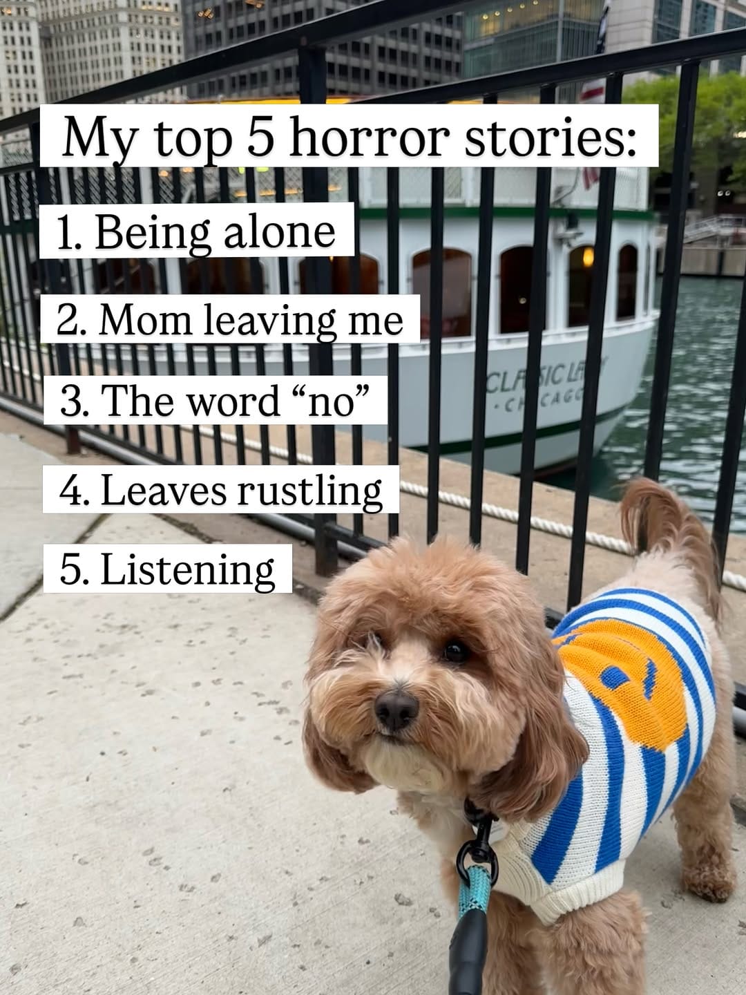 Post 4 by Shannon & Calvin on Instagram (image)