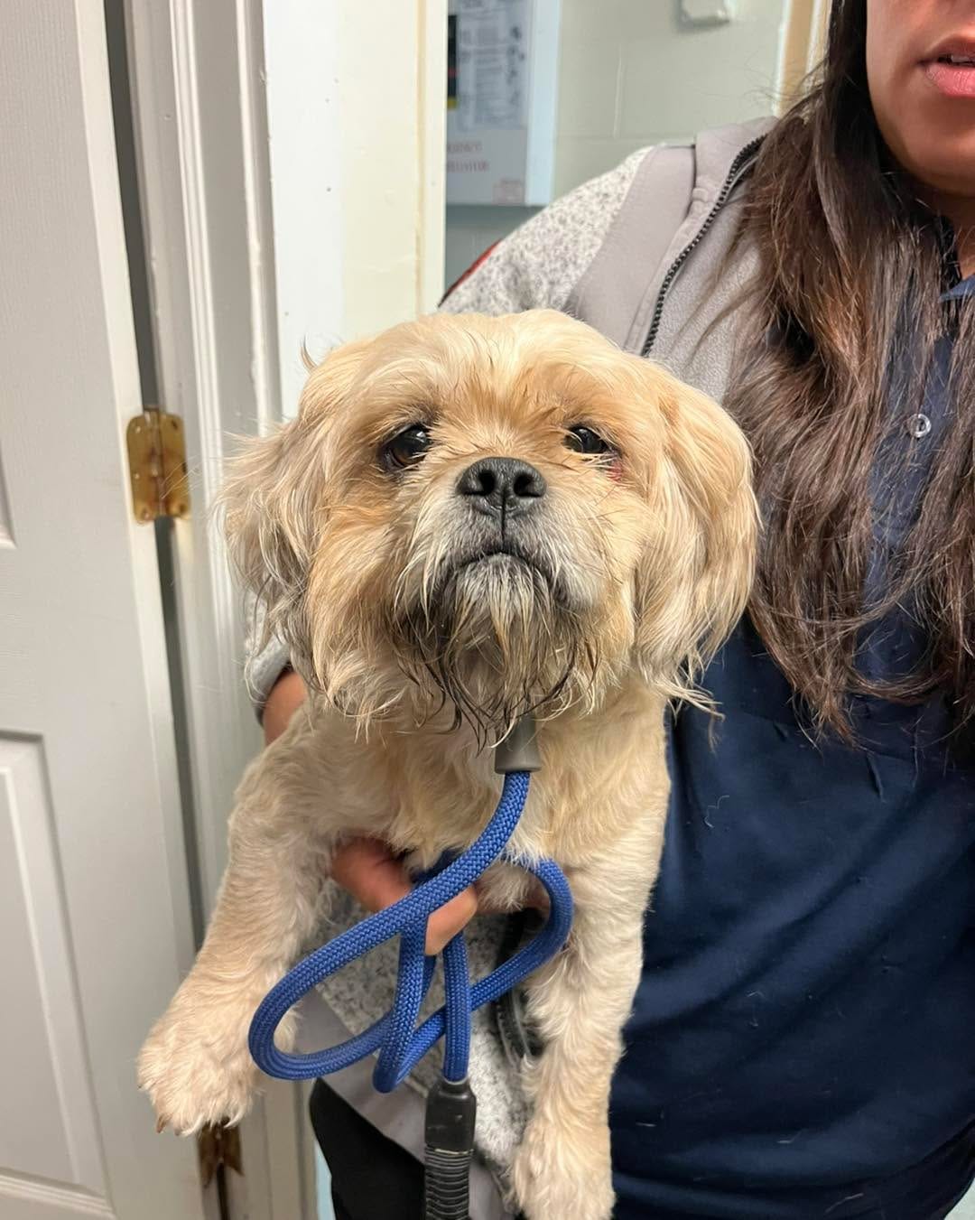 Post 3 by Bloomfield Animal Shelter on Instagram (carousel)