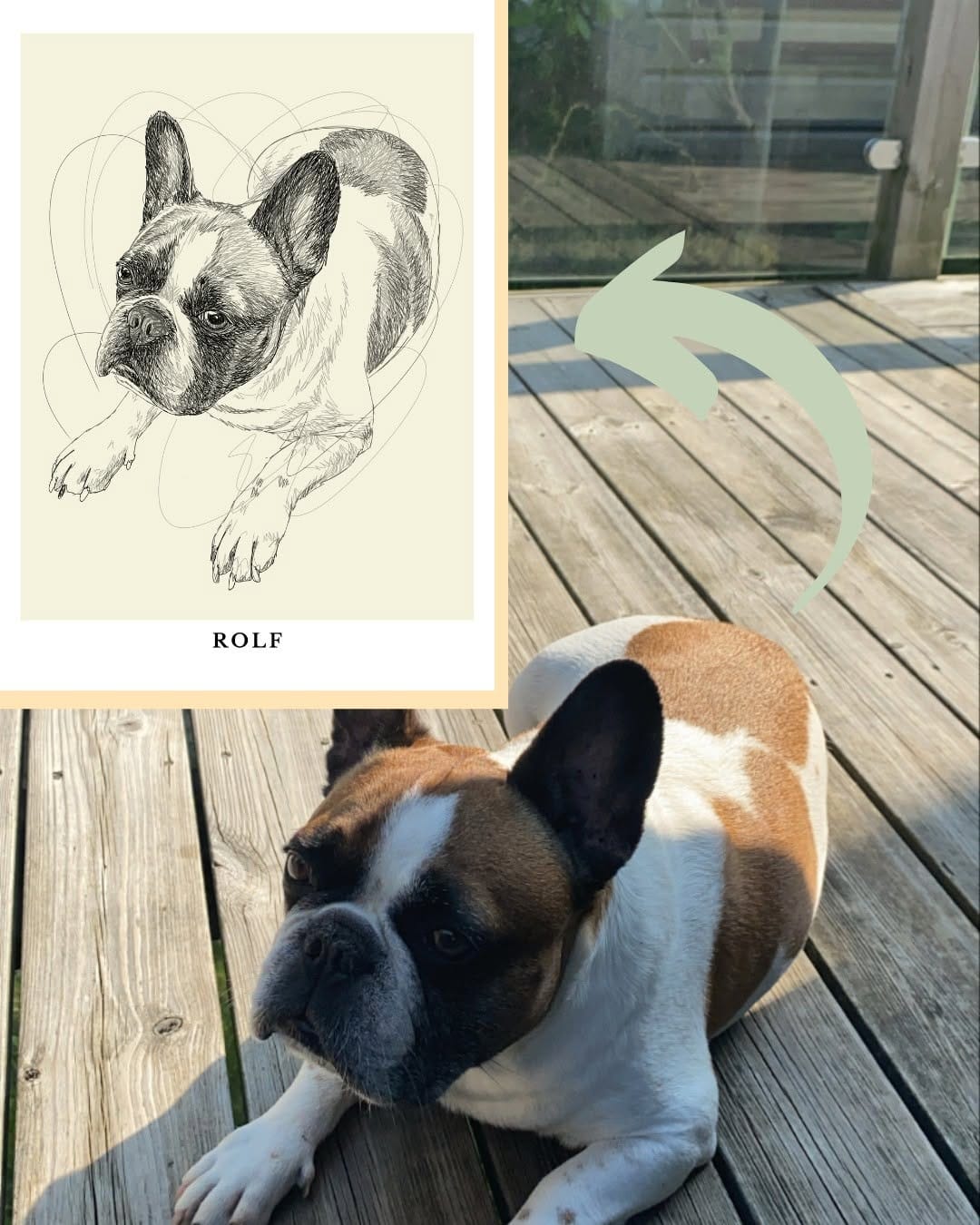 Post 10 by The Puppy Poster🐾 on Instagram (image)