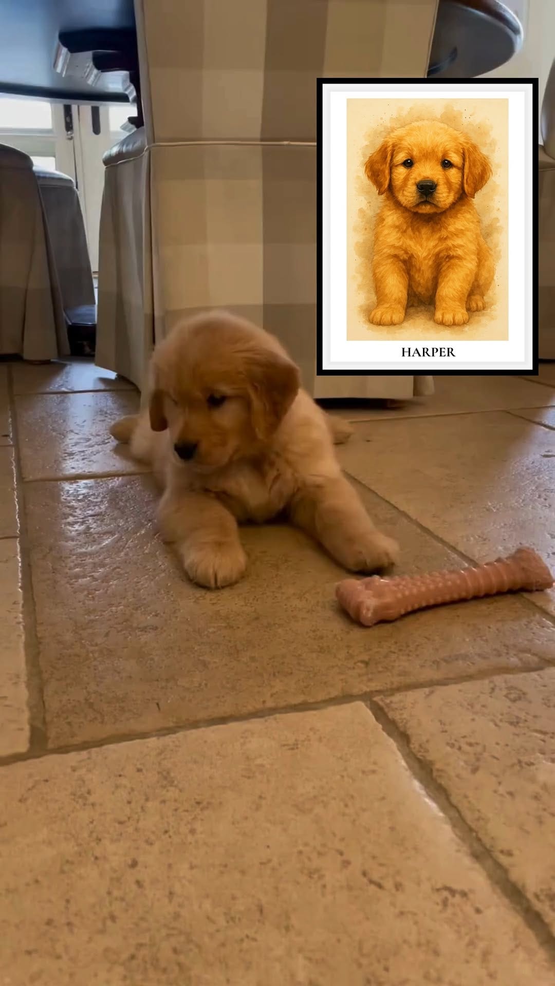 Post 4 by The Puppy Poster🐾 on Instagram (video)