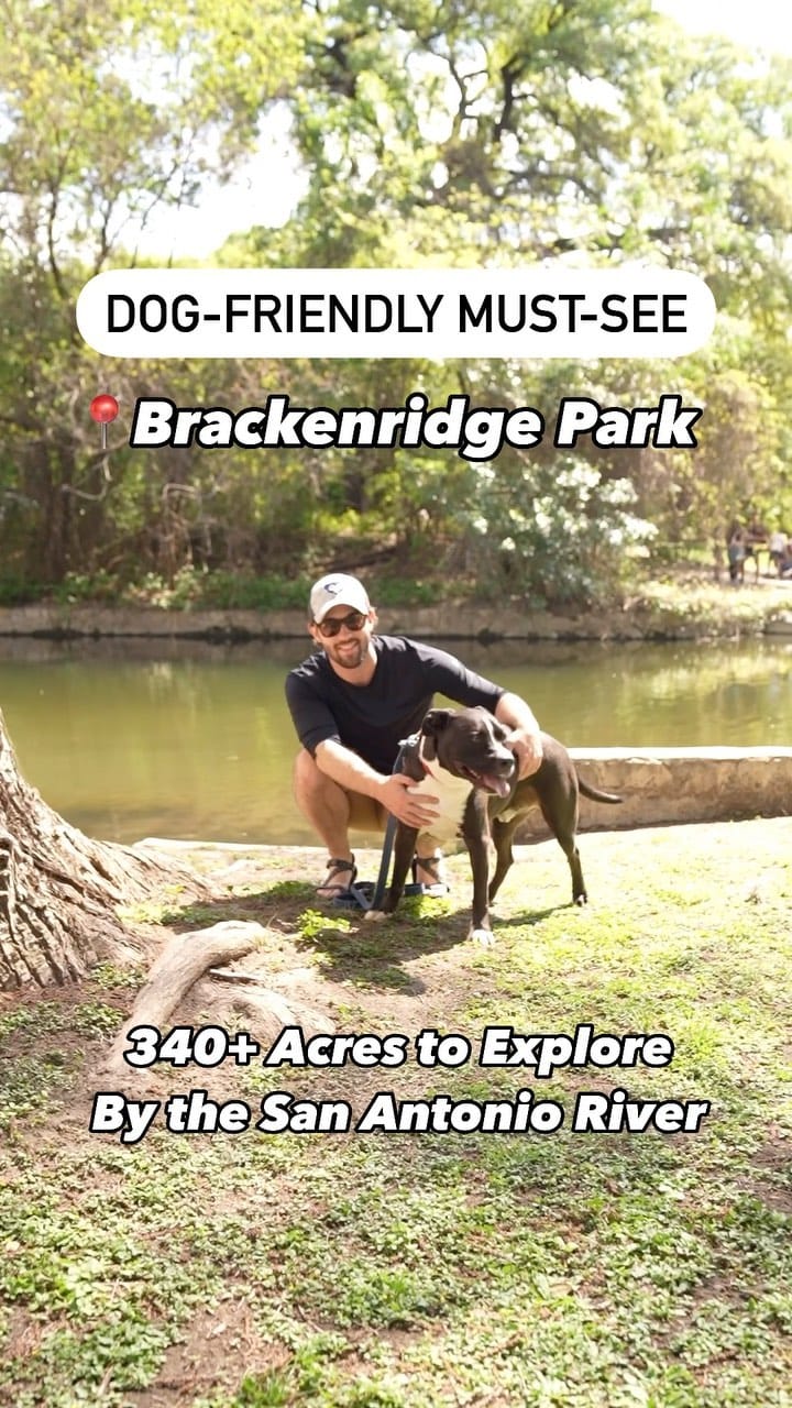Post 9 by The Dog Guide San Antonio on Instagram (video)