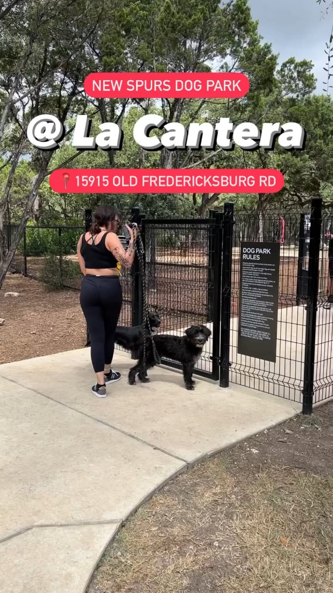 Post 10 by The Dog Guide San Antonio on Instagram (video)