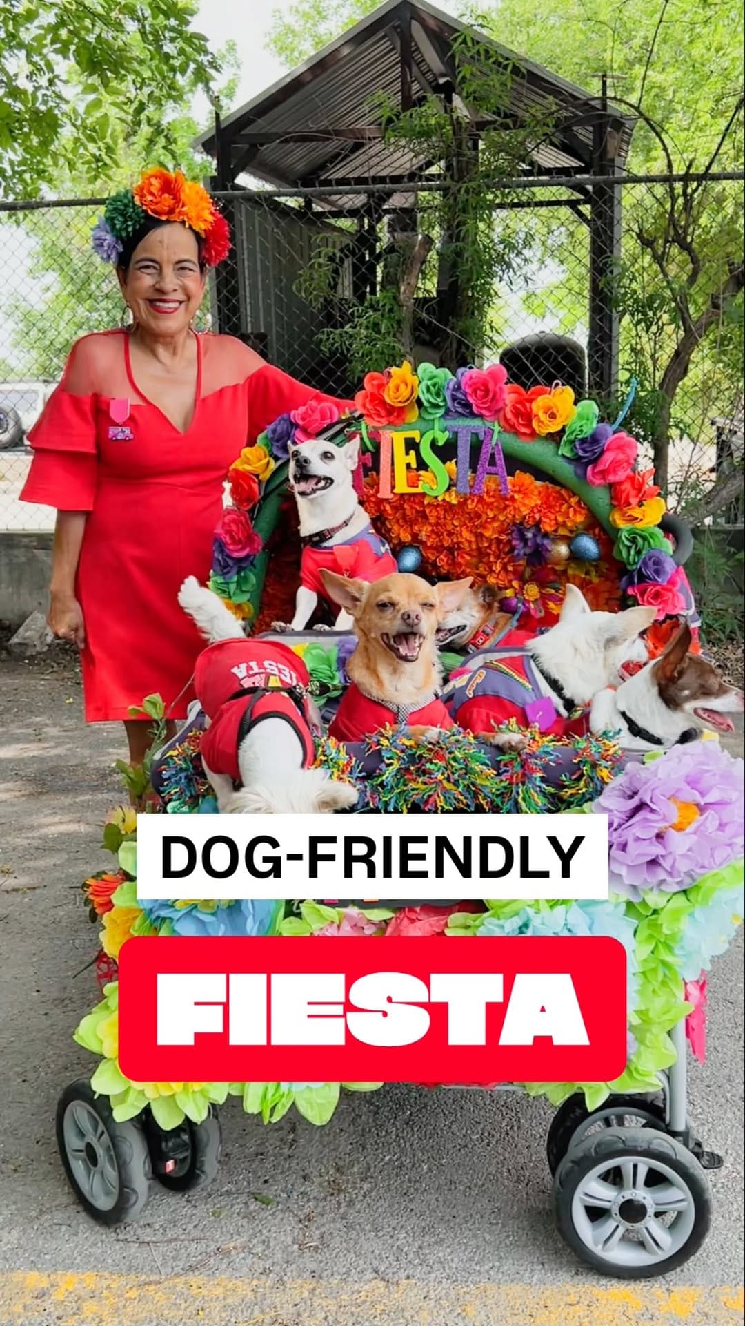Post 3 by The Dog Guide San Antonio on Instagram (video)