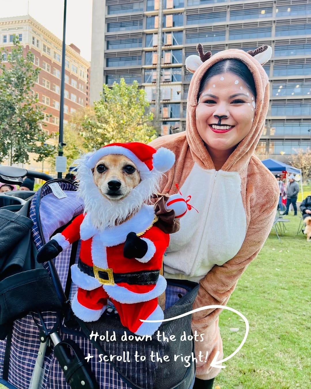 Post 6 by The Dog Guide San Antonio on Instagram (carousel)