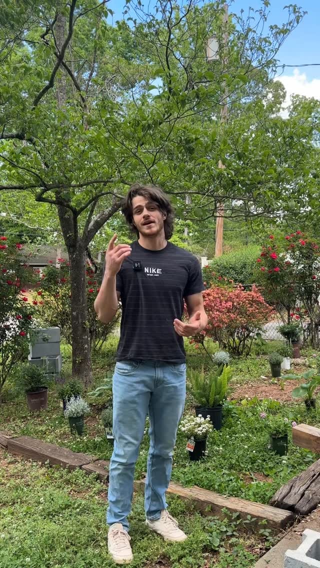 Post 7 by Logan Wilkins on Instagram (video)