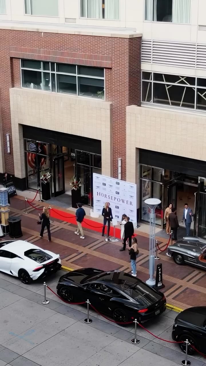 Post 6 by RELEVANT GALLERIES on Instagram (video)