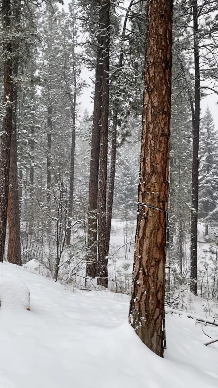 Post 7 by Röra Haus //\\ Modern A-frame on Instagram (video)