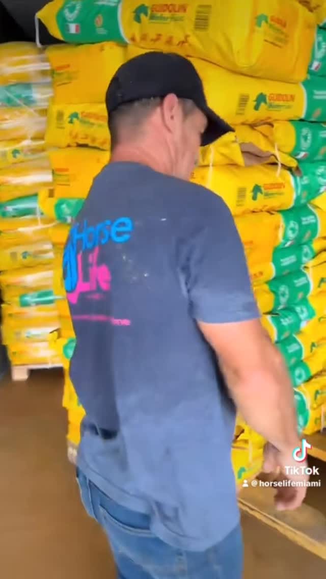 Post 5 by Horse Life Miami on Instagram (video)
