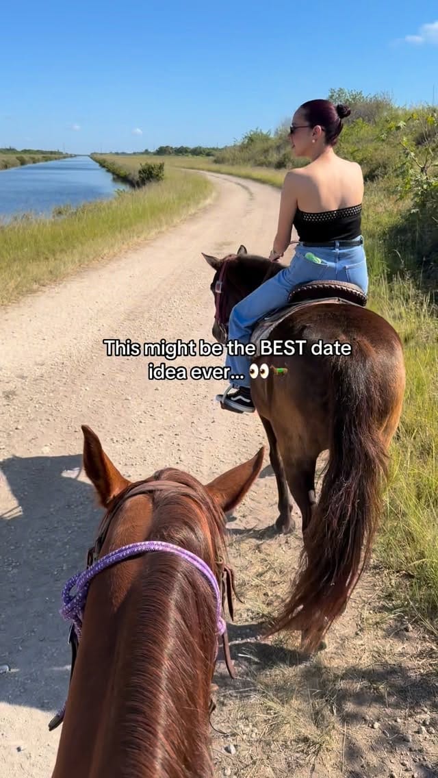 Post 6 by Horse Life Miami on Instagram (video)