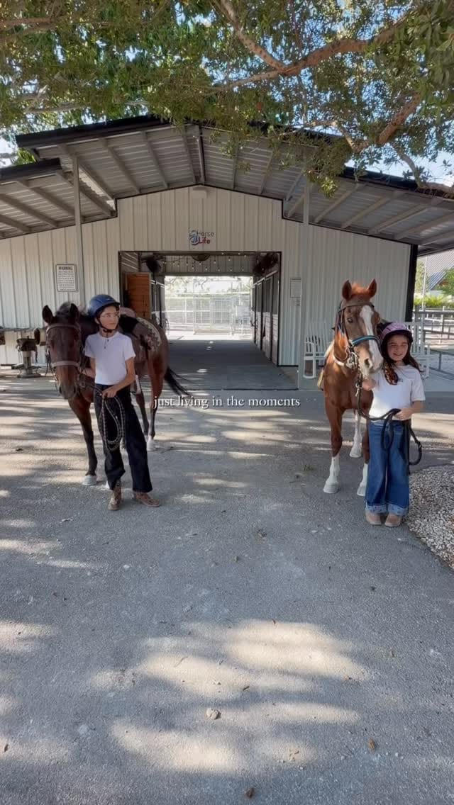 Post 4 by Horse Life Miami on Instagram (video)