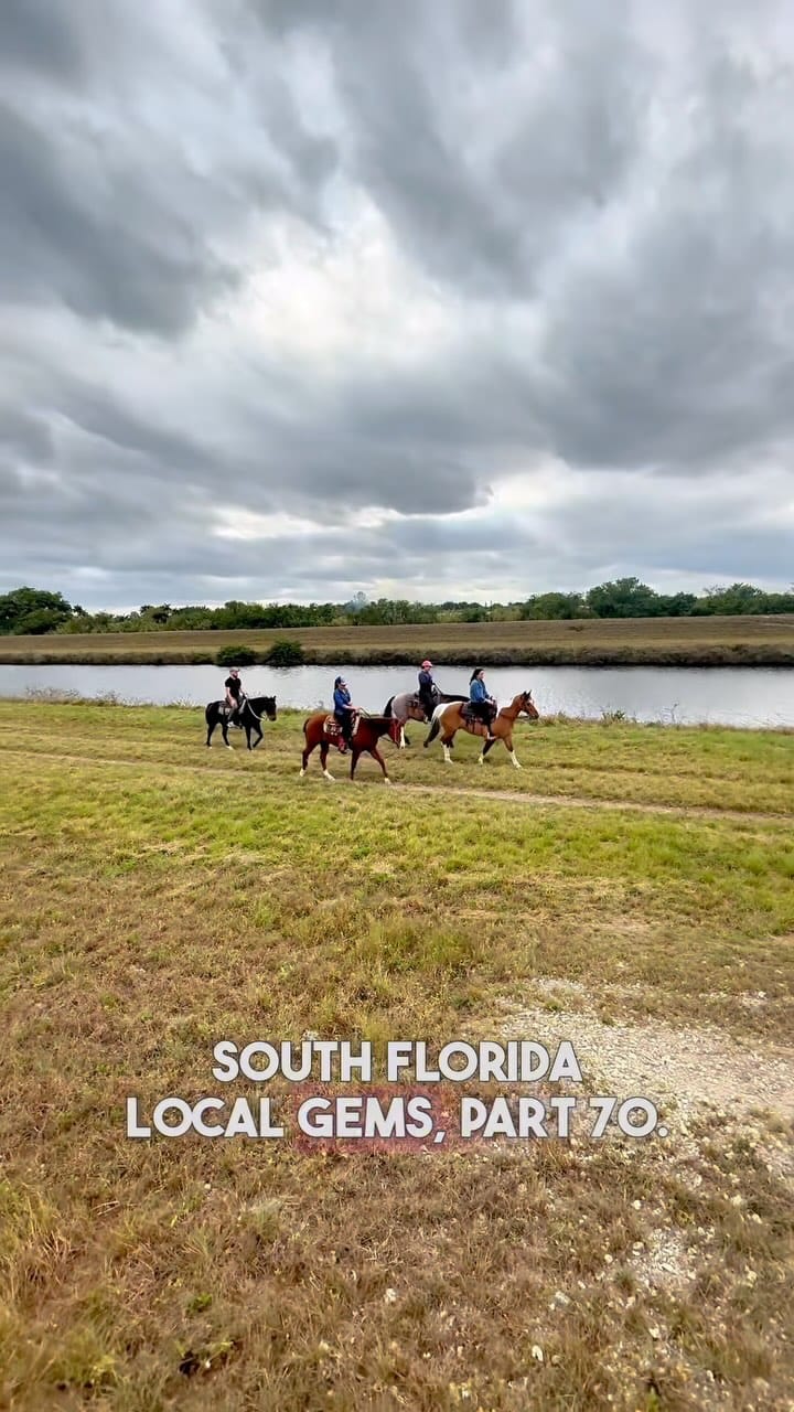 Post 9 by Horse Life Miami on Instagram (video)
