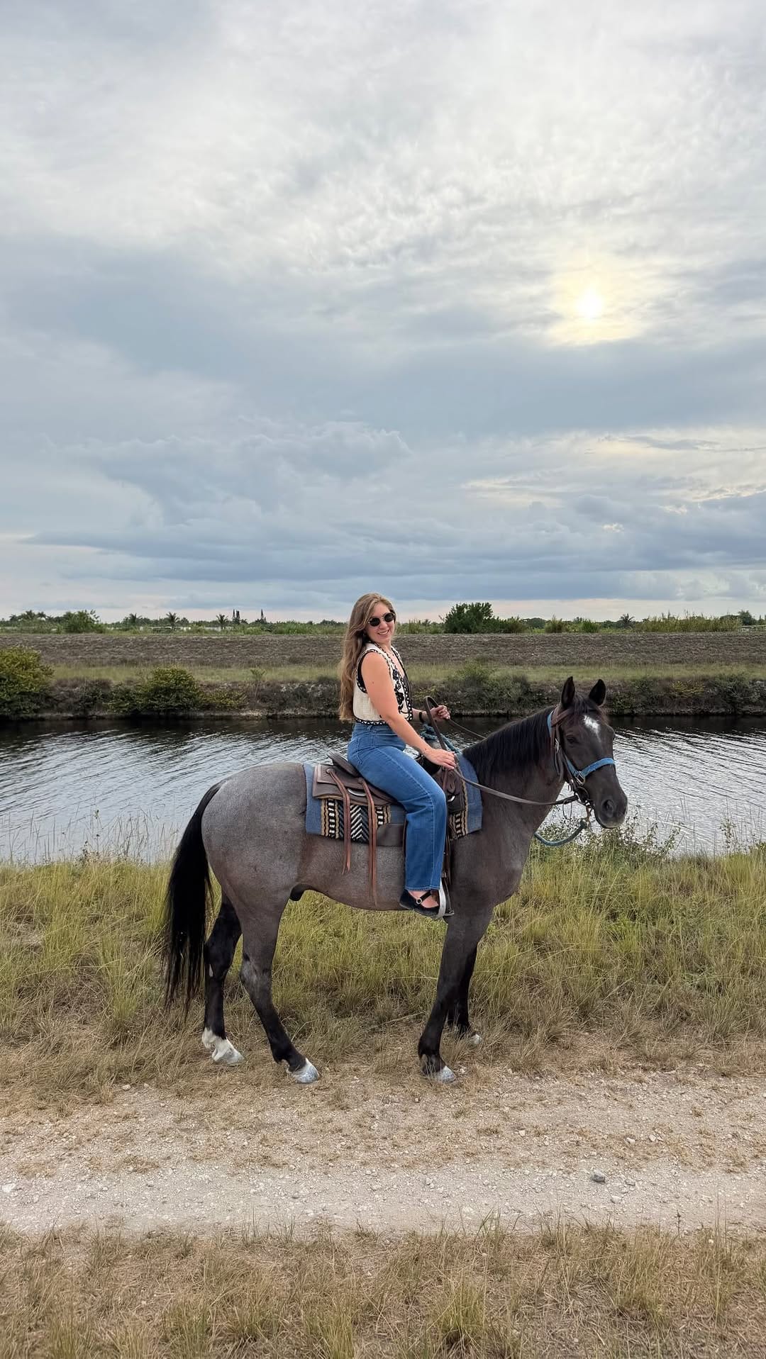 Post 2 by Horse Life Miami on Instagram (video)