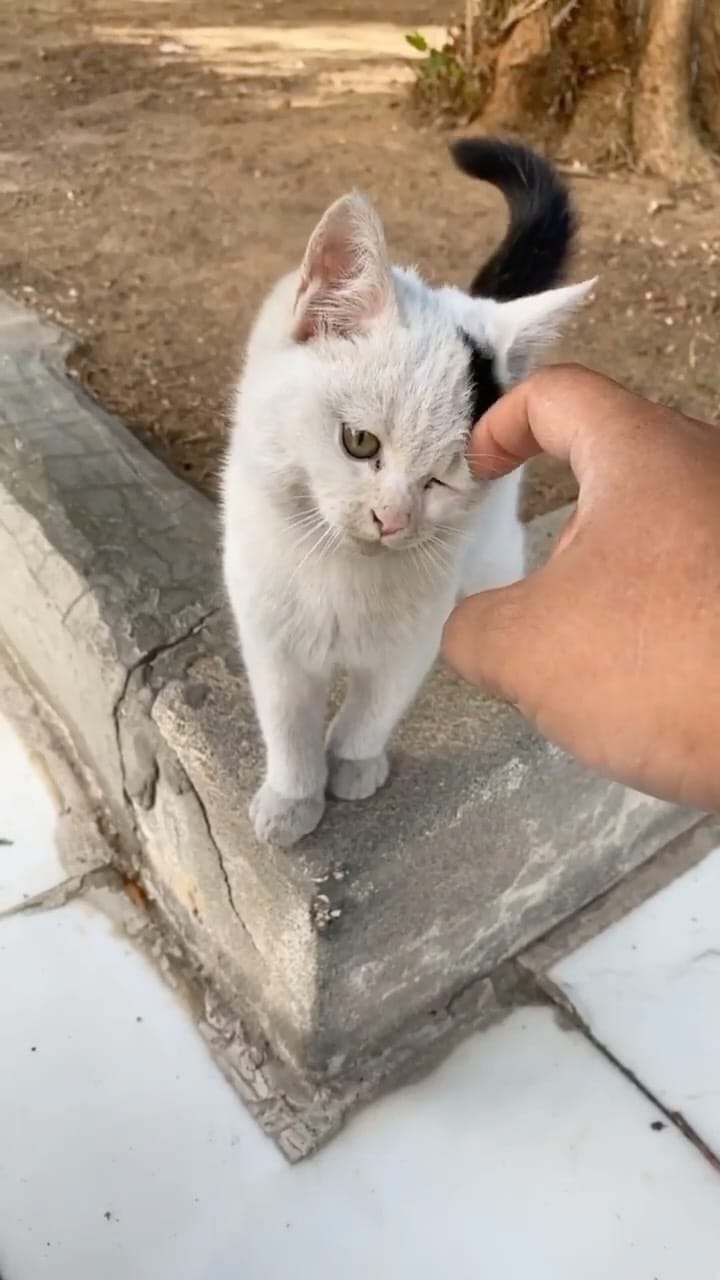 Post 10 by أحمد العروي  Ahmad Alerwi on Instagram (video)