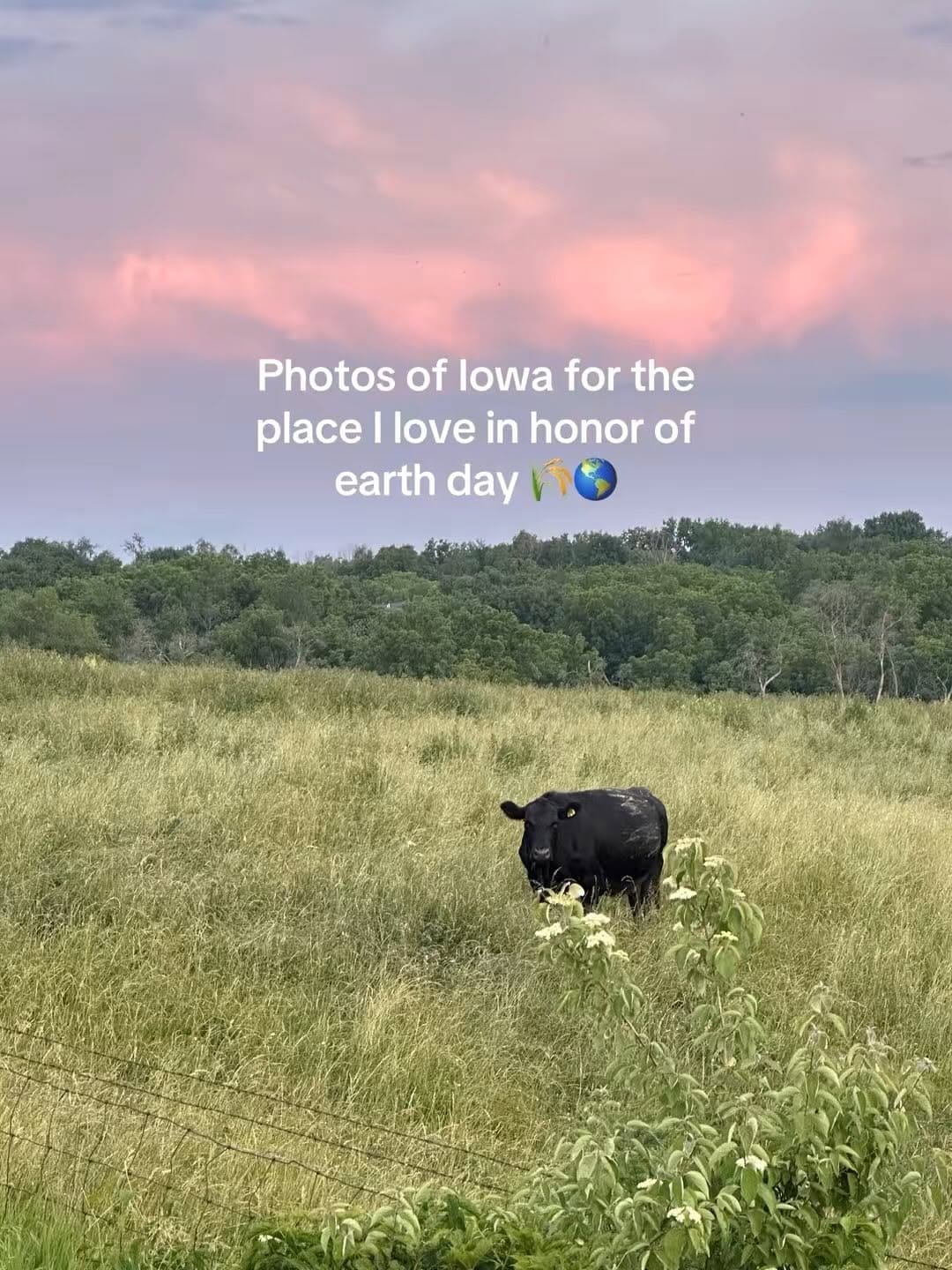 Post 8 by Jessica Duling on Instagram (carousel)