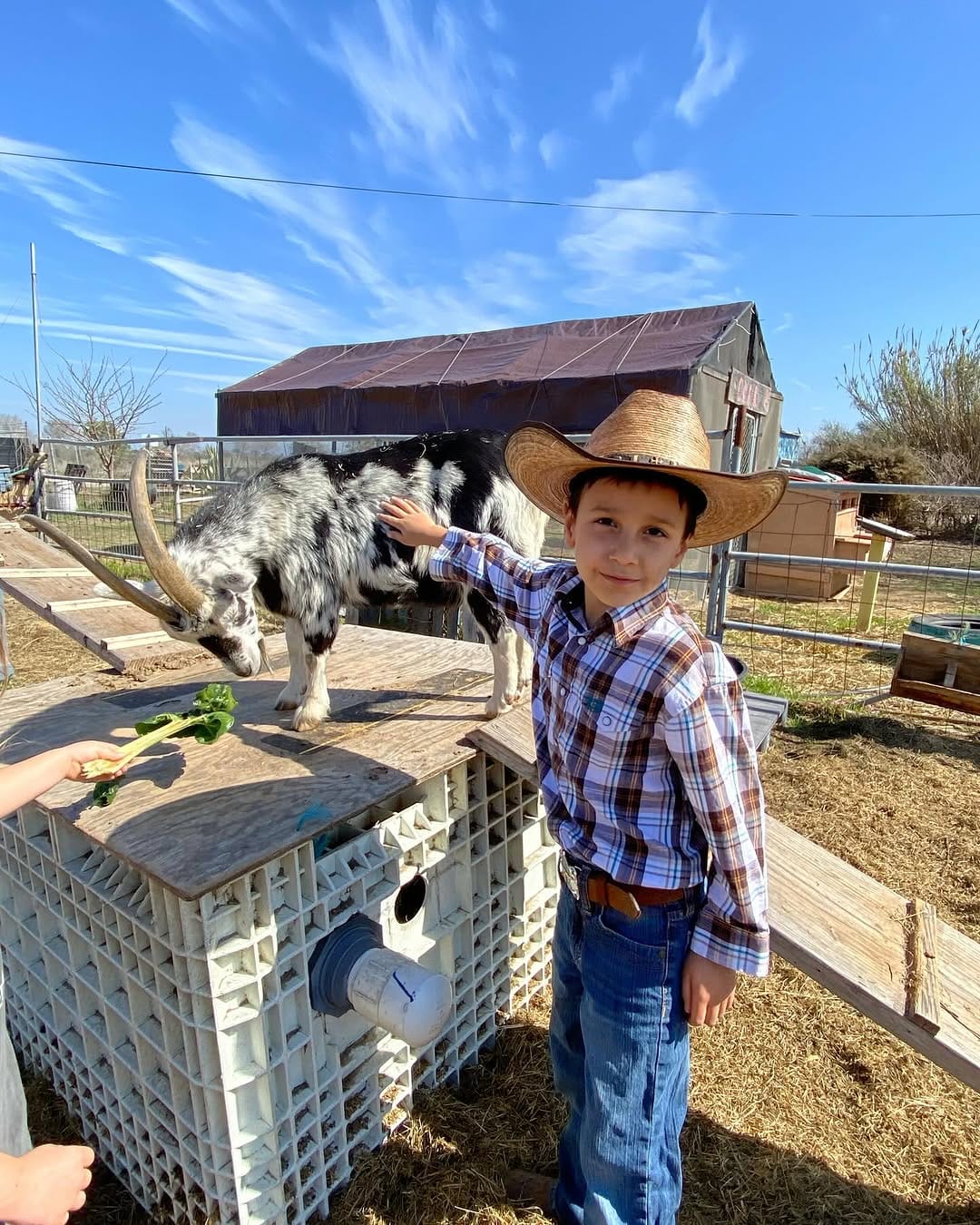 Post 6 by Wild Willow Farm on Instagram (carousel)
