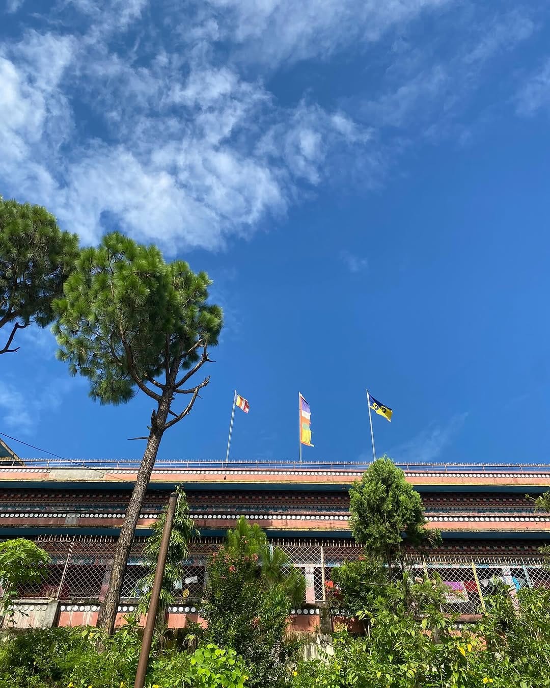 Post 9 by LUNA STHA on Instagram (carousel)