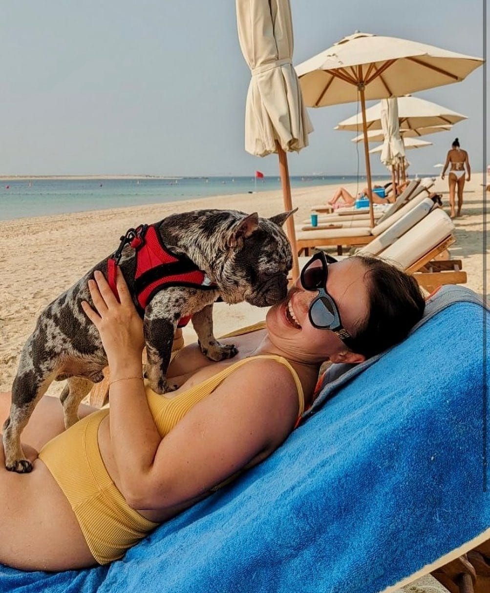 Post 3 by 𝐄𝐭𝐡𝐢𝐜𝐚𝐥 𝐅𝐫𝐞𝐧𝐜𝐡𝐢𝐞 🐾French Bulldog Breeder on Instagram (image)