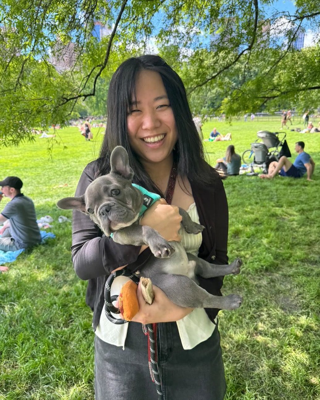 Post 4 by 𝐄𝐭𝐡𝐢𝐜𝐚𝐥 𝐅𝐫𝐞𝐧𝐜𝐡𝐢𝐞 🐾French Bulldog Breeder on Instagram (image)
