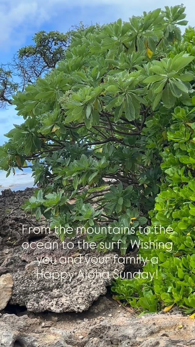 Post 5 by Ali'i Beach Rentals • Oahu Vacation Rentals & STR Management on Instagram (video)