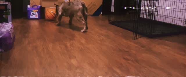 Post 6 by Jeremy Dunn on Instagram (video)
