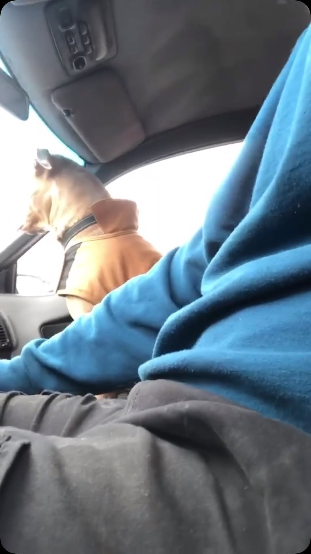 Post 9 by Chris Glagola on Instagram (video)