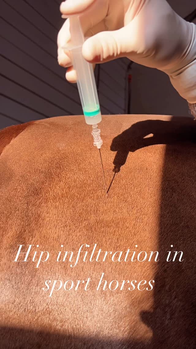 Post 8 by Dr. Marcos Würschmidt PhD on Instagram (video)