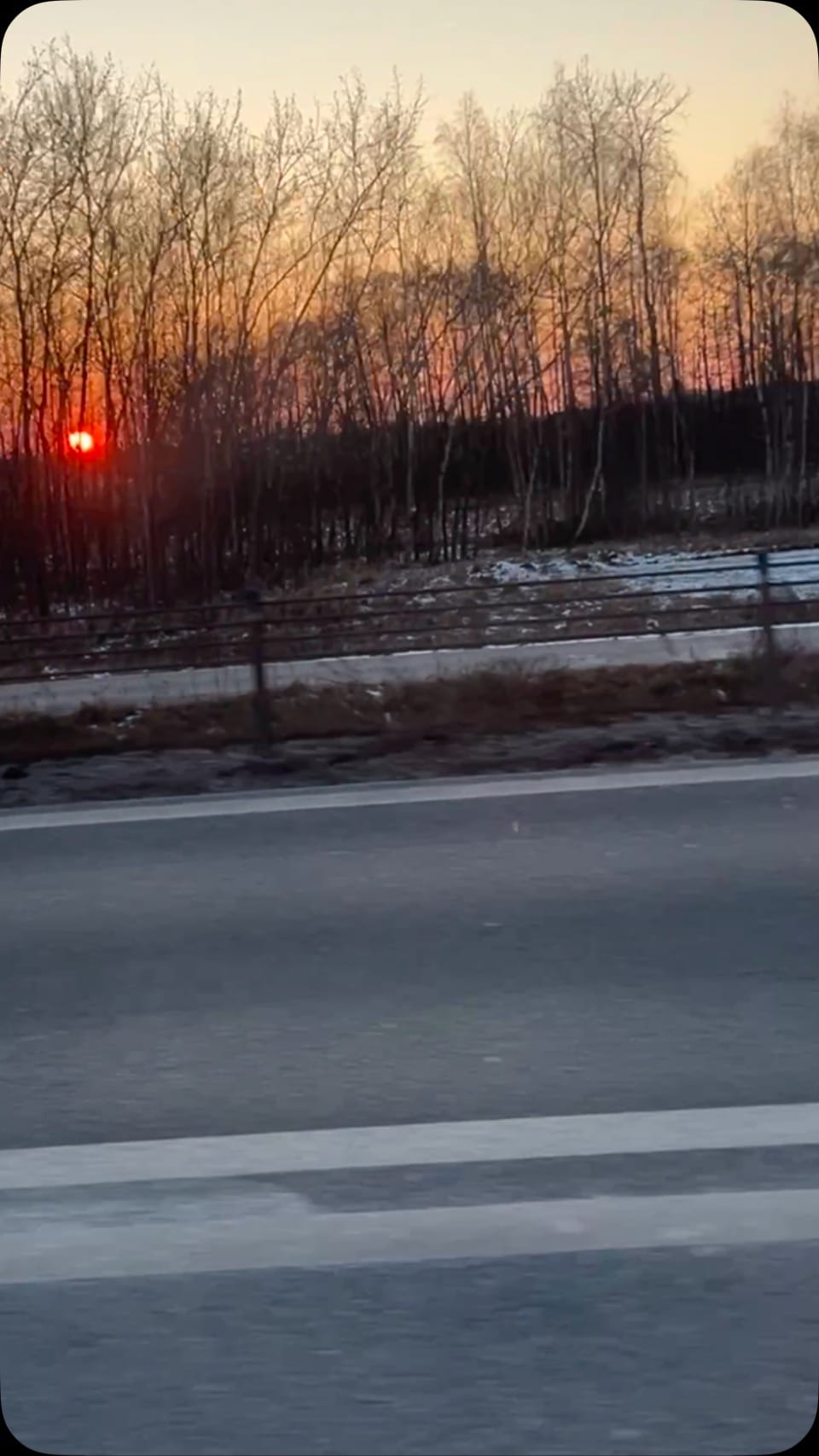 Post 5 by Dr. Marcos Würschmidt PhD on Instagram (video)