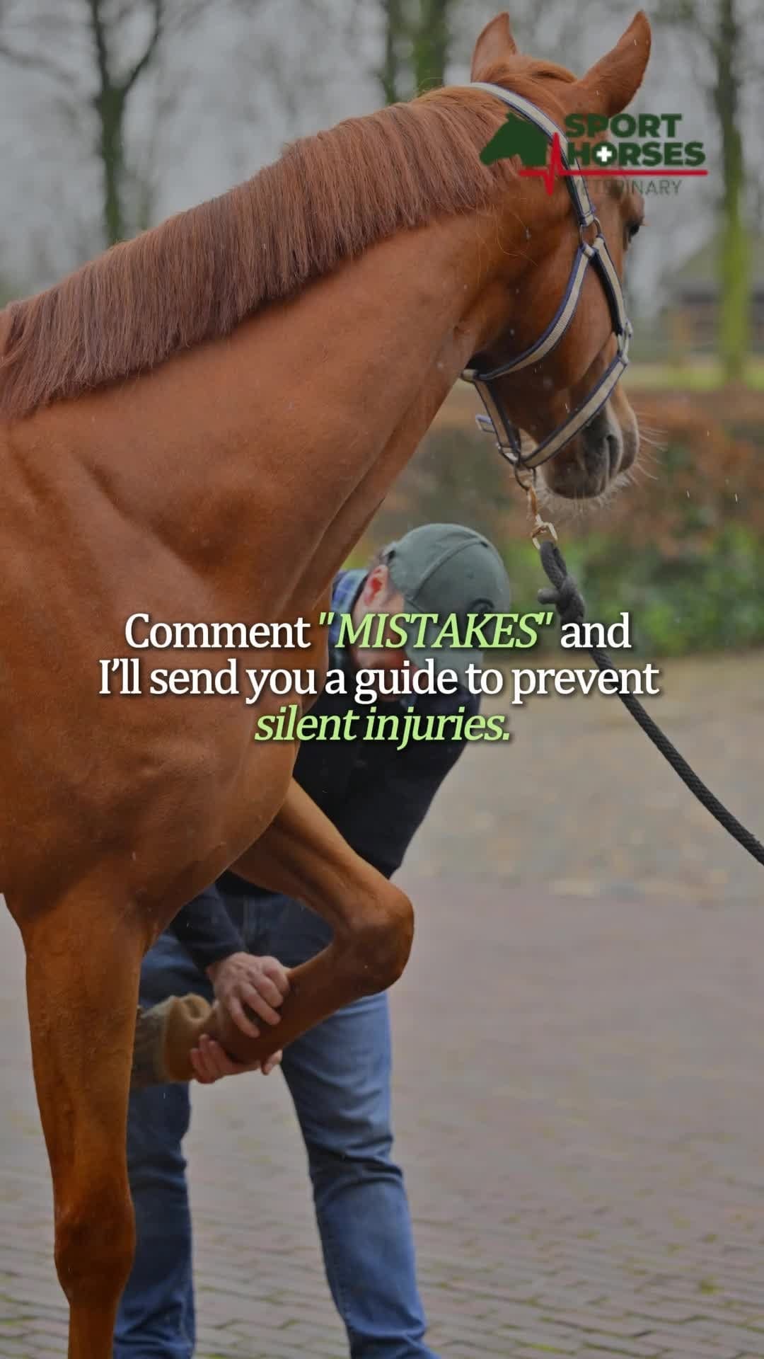 Post 4 by Dr. Marcos Würschmidt PhD on Instagram (video)
