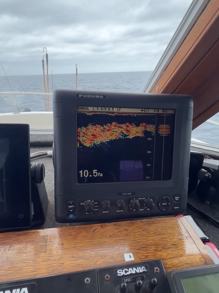 Post 7 by Constitution Sportfishing on Instagram (carousel)