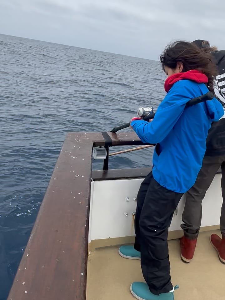 Post 3 by Constitution Sportfishing on Instagram (carousel)