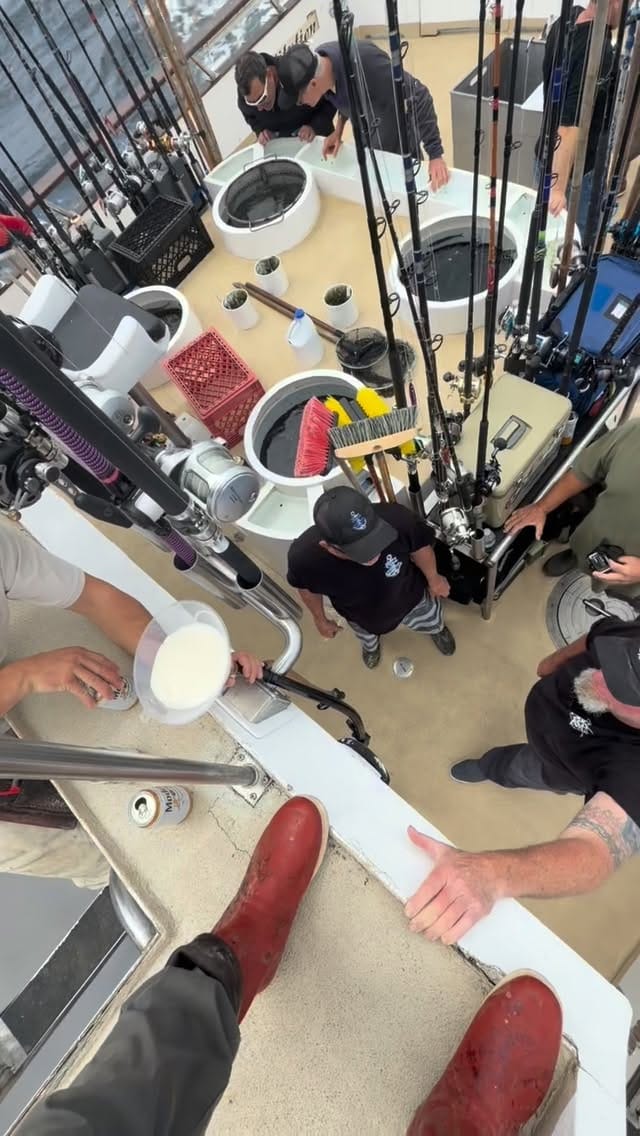 Post 4 by Constitution Sportfishing on Instagram (video)
