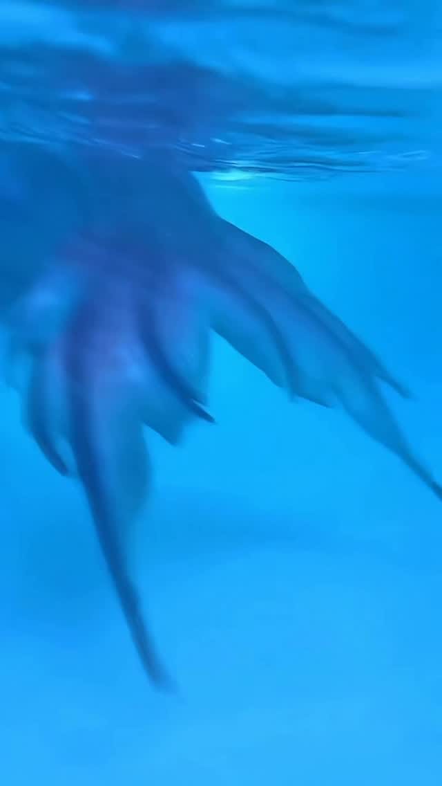 Post 7 by Mermaid Pixi on Instagram (video)