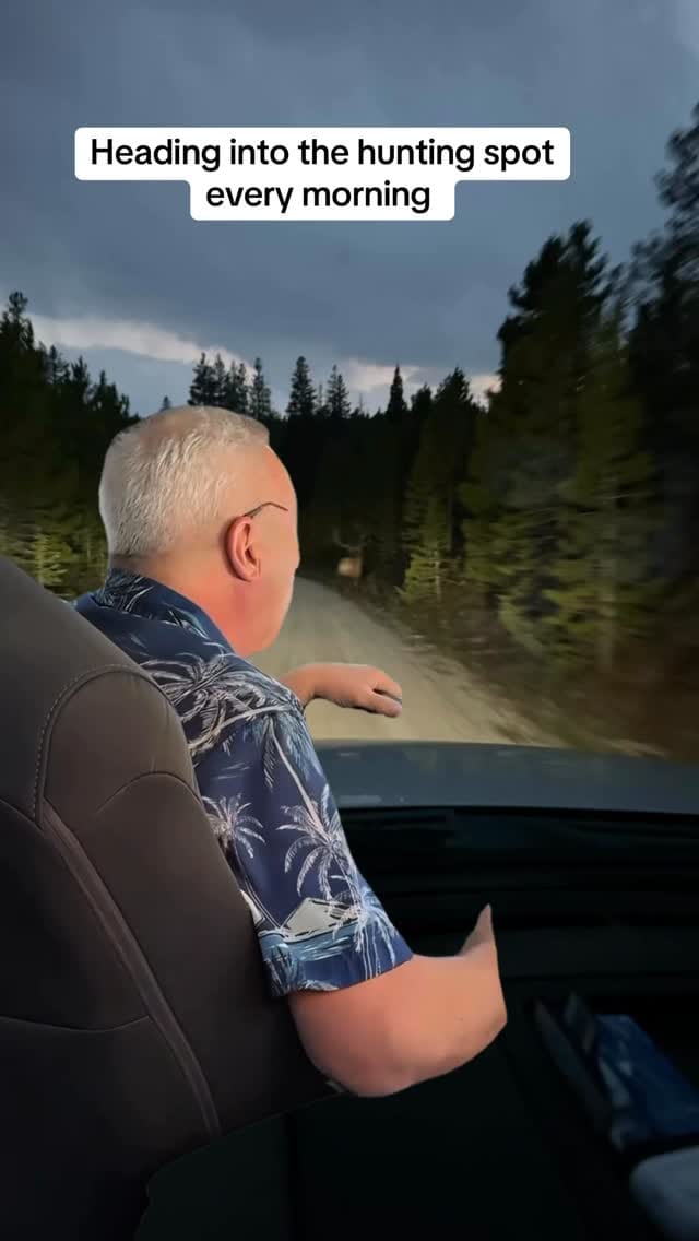 Post 3 by Travis Shoell on Instagram (video)
