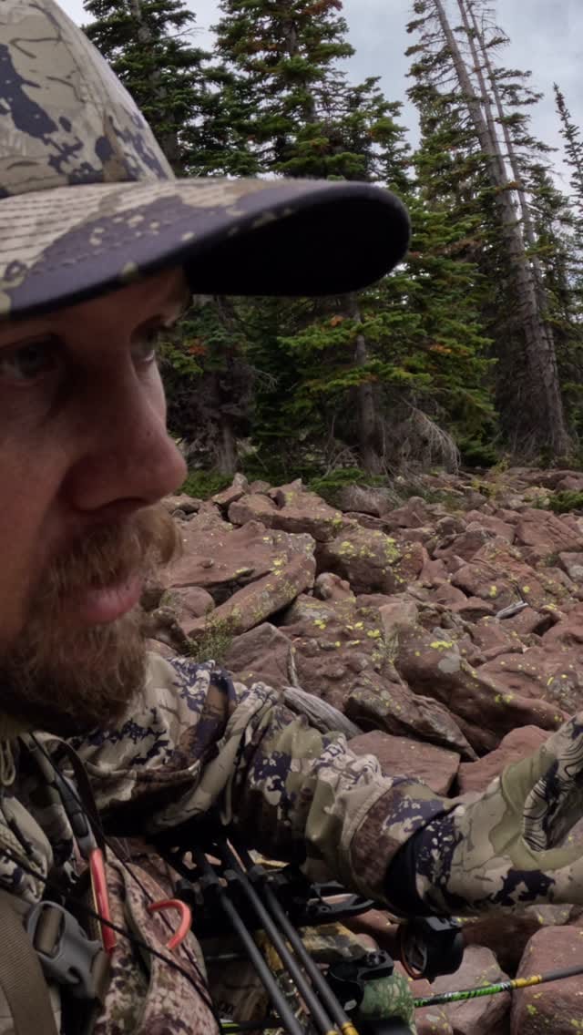 Post 5 by Travis Shoell on Instagram (video)